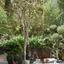 6 bedroom detached house for sale aphrodite hills paphos 8792235 thumbnail 16838123