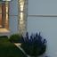 6 bedroom detached house for sale aphrodite hills paphos 8792235 thumbnail 16838134