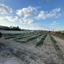 land for sale aradippou larnaca 8827235 thumbnail 16974087