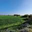 land for sale ayia napa famagusta 1324235 thumbnail 6807146