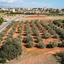 land for sale kato polemidia limassol 1598235 thumbnail 5664604