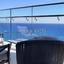 2 bedroom apartment for rent potamos germasogeias limassol 8711335 thumbnail 16281675