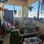 3 bedroom apartment for sale dromolaxia larnaca 7604335 thumbnail 9994147