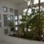 4 bedroom apartment for sale nicosia municipality nicosia 1728335 thumbnail 5513140