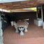 7 bedroom detached house for rent kalogiroi limassol 1678335 thumbnail 4347750