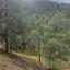 land for sale pigenia nicosia 8629335 thumbnail 15867359