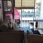 2 bedroom apartment for rent limassol municipality limassol 8598435 thumbnail 15746710