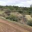land for sale lysos paphos 1057435 thumbnail 15691769
