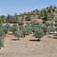 9031 SQM Land for sale in Lythrodontas, Nicosia thumbnail 16742821