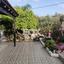 3 bedroom detached house for rent paramytha limassol 1349535 thumbnail 14869024