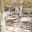 3 bedroom detached house for sale kaimakli nicosia 7804535 thumbnail 16167793
