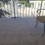 3 bedroom detached house for sale kaimakli nicosia 7804535 thumbnail 16245867