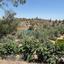 land for sale klirou nicosia 1844535 thumbnail 6620771