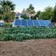 land for sale klirou nicosia 1844535 thumbnail 6620782