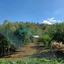 land for sale klirou nicosia 1844535 thumbnail 6620785