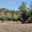 land for sale lythrodontas nicosia 1578535 thumbnail 16742820