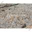 plot for sale strovolos nicosia 7874535 thumbnail 14345111