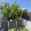 5 bedroom detached house for sale oroklini larnaca 8286735 thumbnail 16587723