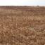 land for sale kokkinotrimithia nicosia 1788735 thumbnail 16168853