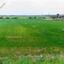 land for sale astromeritis nicosia 947835 thumbnail 927569