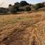 land for sale simou paphos 1104835 thumbnail 1382956