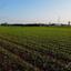 land for sale xylofagou larnaca 8804835 thumbnail 16801998