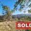 land sold giolou paphos 7752835 thumbnail 10312726