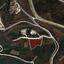 land for sale kato arodes paphos 1352935 thumbnail 2540576