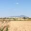 land for sale mazotos larnaca 8971935 thumbnail 17873726