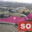 land sold pera orinis nicosia 1056935 thumbnail 2906796