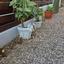 3 bedroom ground floor apartment for rent makedonitissa nicosia 8810045 thumbnail 16825698