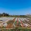 land for sale agia triada famagusta 7544045 thumbnail 15419671