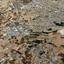 land for sale dekeleia larnaca 8994045 thumbnail 18141228