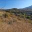 land for sale dora limassol 7806045 thumbnail 15596692