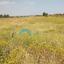 land for sale frenaros famagusta 922145 thumbnail 16011412