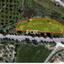 land for sale nata paphos 1159145 thumbnail 14827037