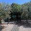 3 bedroom detached house for sale parekklisia limassol 1762245 thumbnail 4856291