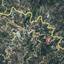 land for sale agros limassol 8926245 thumbnail 17613714
