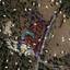 land for sale evrychou nicosia 954245 thumbnail 5419683
