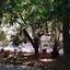 plot for sale katholiki limassol 1811245 thumbnail 6243194