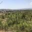 plot for sale kornos larnaca 1379245 thumbnail 5843286