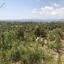 plot for sale kornos larnaca 1379245 thumbnail 5843288