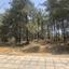 plot for sale kornos larnaca 1379245 thumbnail 5843291