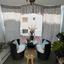 2 bedroom apartment for sale mackenzie larnaca 1535345 thumbnail 10508003
