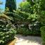 2 bedroom maisonette for sale potamos germasogeias limassol 1892345 thumbnail 15852624