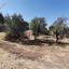 land for sale gialia paphos 946345 thumbnail 17103100