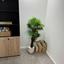 studio commercial building for sale larnaca municipality larnaca 1325345 thumbnail 5445682