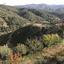 land for sale agios epifanios oreinis nicosia 8798445 thumbnail 16715770