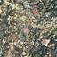land for sale omodos limassol 8630445 thumbnail 16656729
