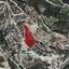 land for sale omodos limassol 8630445 thumbnail 16656730